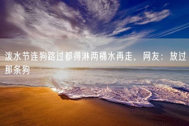 泼水节连狗路过都得淋两桶水再走，网友：放过那条狗