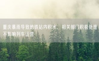 重庆暴雨导致地铁站内积水，相关部门积极处理不影响列车运营