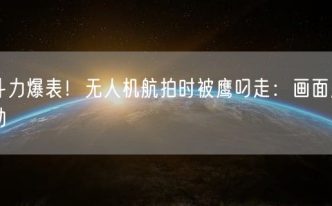 战斗力爆表！无人机航拍时被鹰叼走：画面剧烈晃动