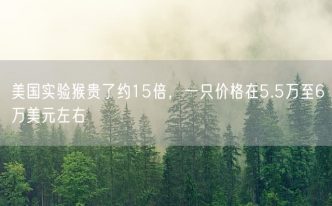 美国实验猴贵了约15倍，一只价格在5.5万至6万美元左右