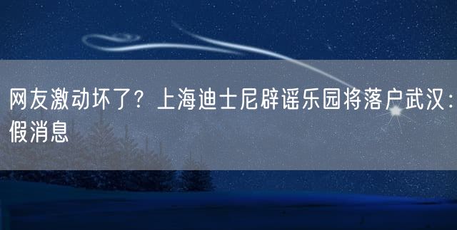 网友激动坏了？上海迪士尼辟谣乐园将落户武汉：假消息