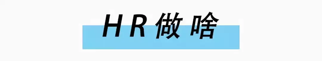 hr是什么职业,人力资源hr是干嘛的,职业,部门,新员工