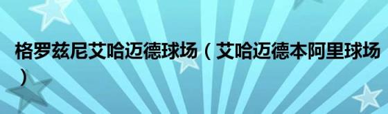 格罗兹尼艾哈迈德球场,艾哈迈德本阿里球场,球场,阿里,世界杯