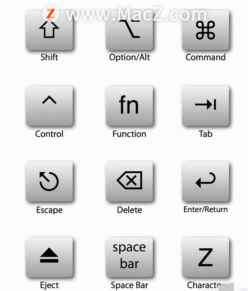 苹果复制粘贴快捷键是什么 Mac新手键盘快捷键操作技巧,快捷键,键盘,窗口