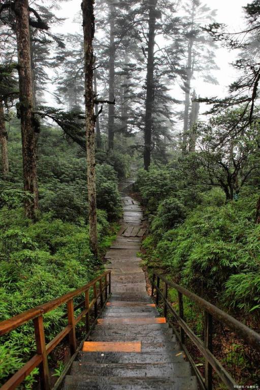 成都自驾瓦屋山旅游攻略,成都周边二日游自驾游瓦屋山