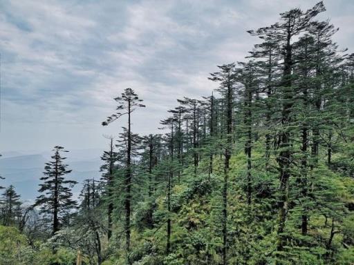 成都自驾瓦屋山旅游攻略,成都周边二日游自驾游瓦屋山