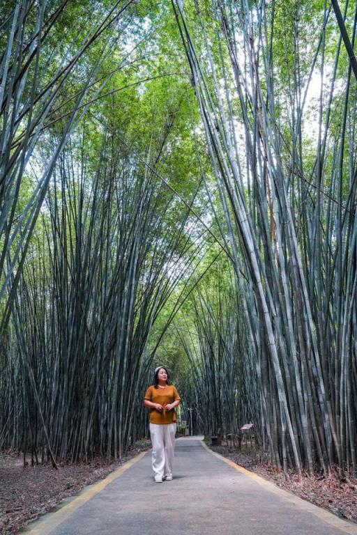 肇庆自驾旅游攻略必去景点,肇庆自驾游一日游攻略