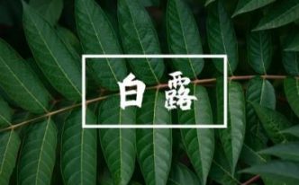 2022白露当天出生好还是白露后出生好「推荐2022年白露前后生的虎宝宝好吗」