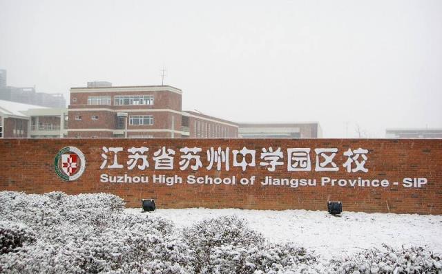 苏州市园区前十名小学,苏州园区小学排名一览表