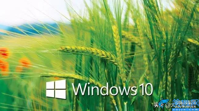 win11和win10哪个好用,win11和win10系统对比