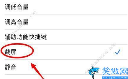 苹果手机双击背面截图怎么设置,iPhone手机的花样截屏技巧