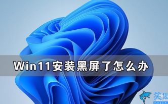 升级win11后黑屏不出现桌面怎么办 优选：Win11安装黑屏了解决方法