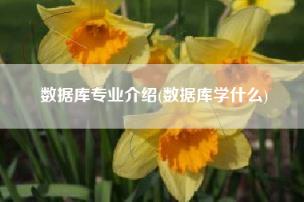 数据库专业介绍,数据库学什么