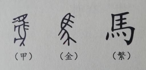 规范汉字基本笔画-竖折折钩及例字,零基础学写字笔画横撇弯钩