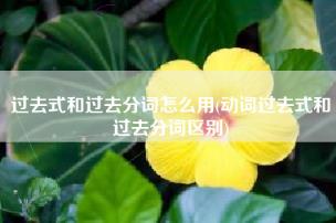 过去式和过去分词怎么用,动词过去式和过去分词区别