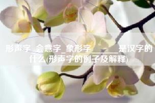 形声字会意字象形字是汉字的什么,形声字的例子及解释